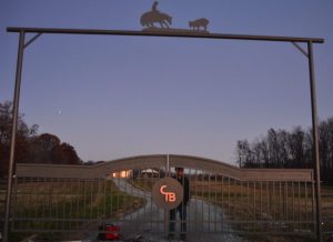 Driveway gate cutting horse metal art entrance CT Bryant 6 e1466225558835