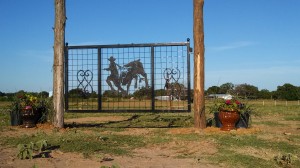 Farm gate rodeo cowboy bull by JDR Metal Art 3