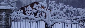 cropped Driveway gate with tree covered in snow by JDR Metal Art