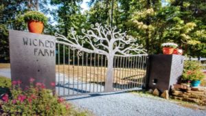 Driveway gate design idea with tree and picket fence.