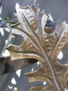 Wisconsin driveway gate oak tree leaf powder coated by JDR metal Art.